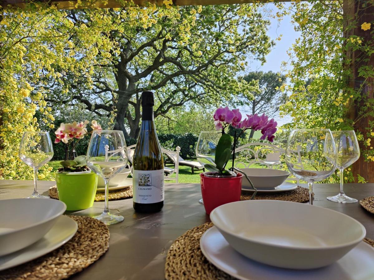 Ca' le cerque, villa surrounded by the Marche nature Fossombrone Extérieur photo
