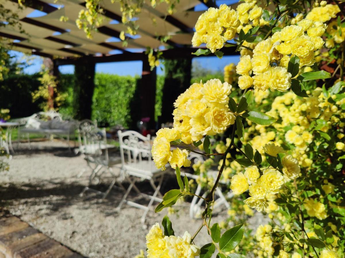 Ca' le cerque, villa surrounded by the Marche nature Fossombrone Extérieur photo