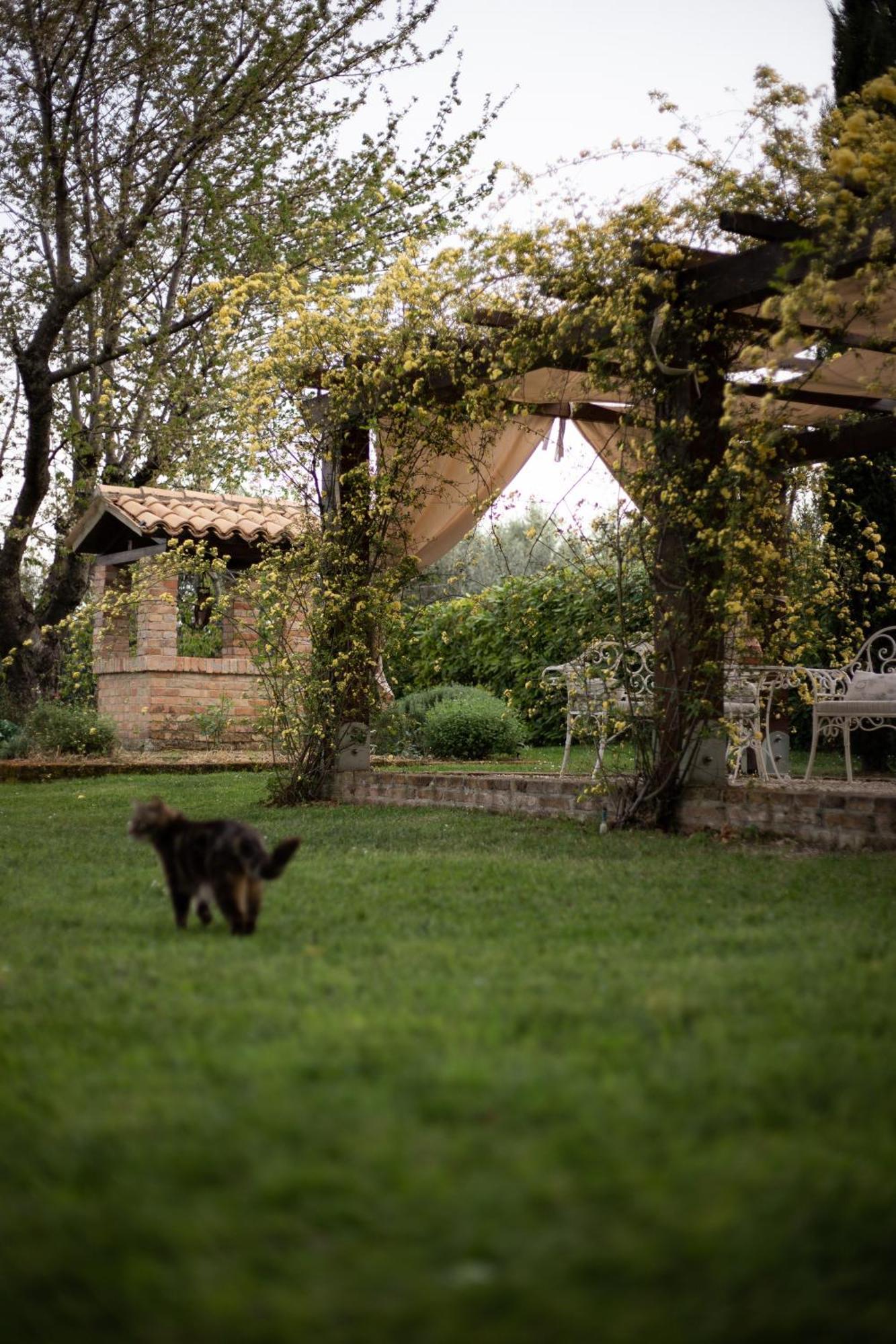 Ca' le cerque, villa surrounded by the Marche nature Fossombrone Extérieur photo