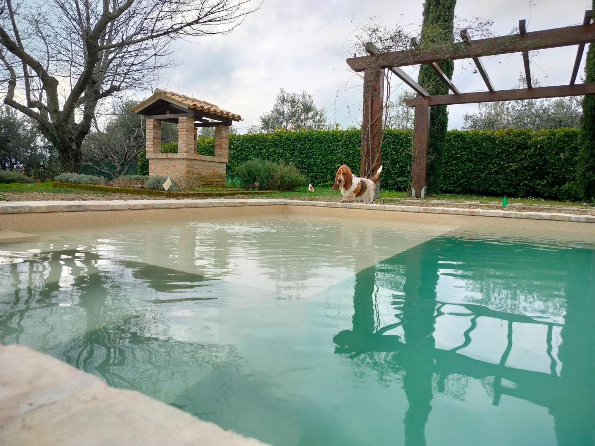 Ca' le cerque, villa surrounded by the Marche nature Fossombrone Extérieur photo